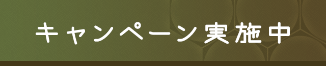 キャンペーン実施中